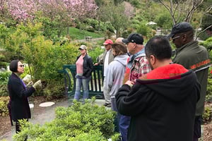 Veteran Discussion Groups: